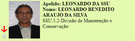 cipa_votacao_leonardo